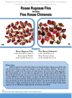 007_RRF_vs_FRC_en.pdf